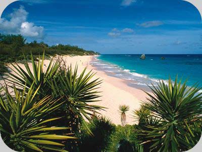 Beach In Bermuda